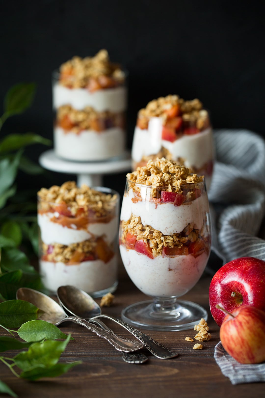 Apple Cinnamon Granola Perfects – Cooking Stylish